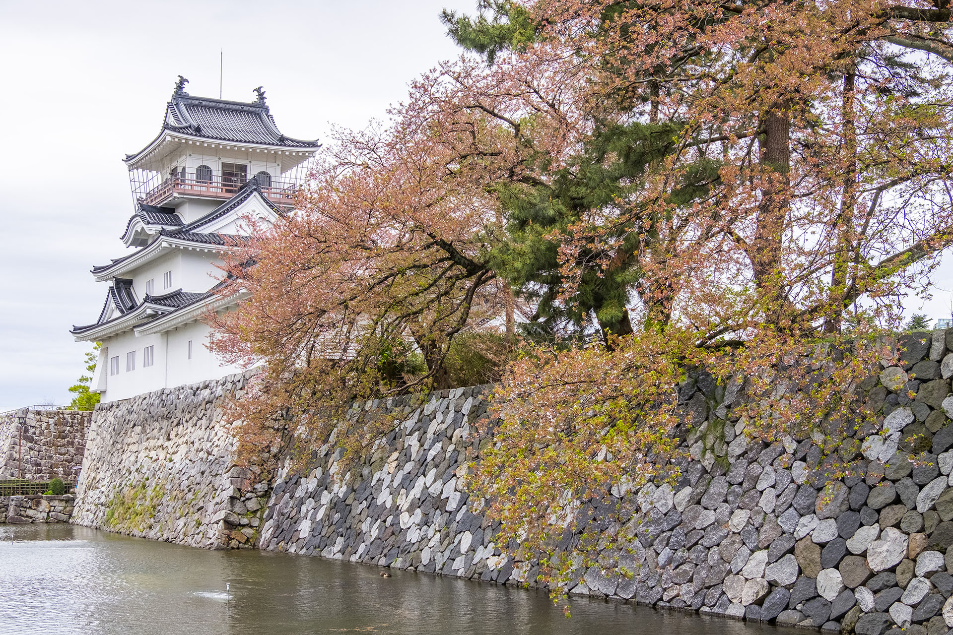 富山城址公園 (2023)