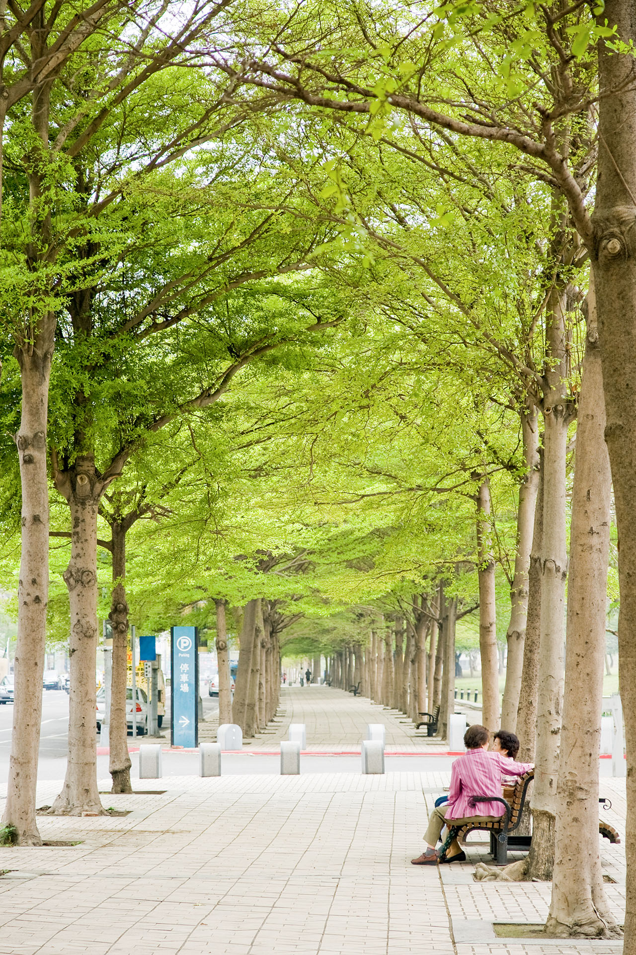 高雄市 - 2008