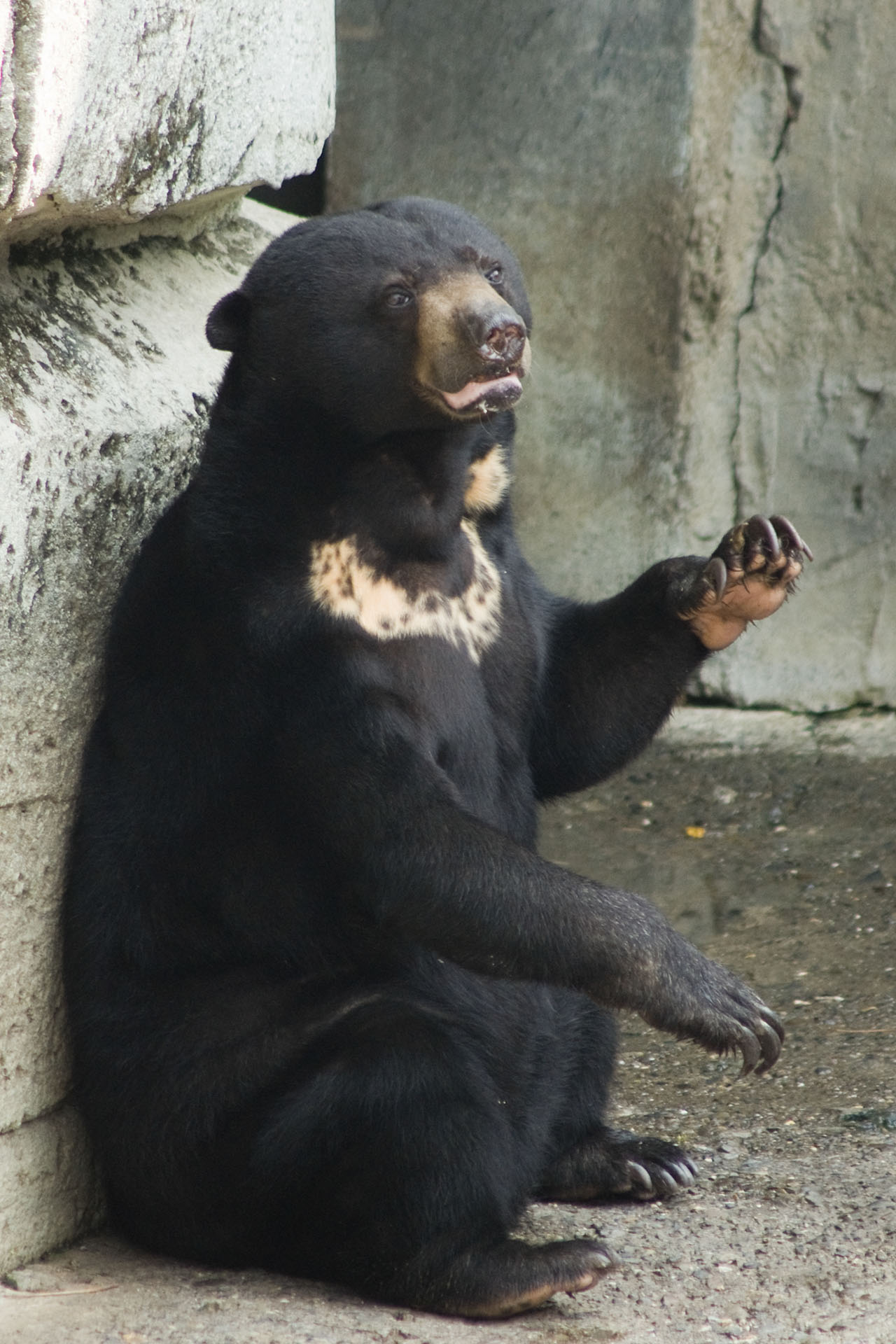 壽山動物園 - 2008
