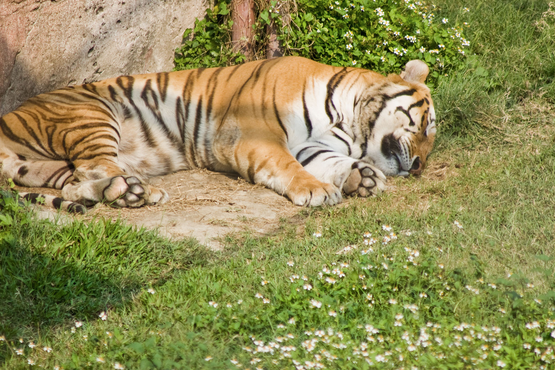 壽山動物園 - 2008