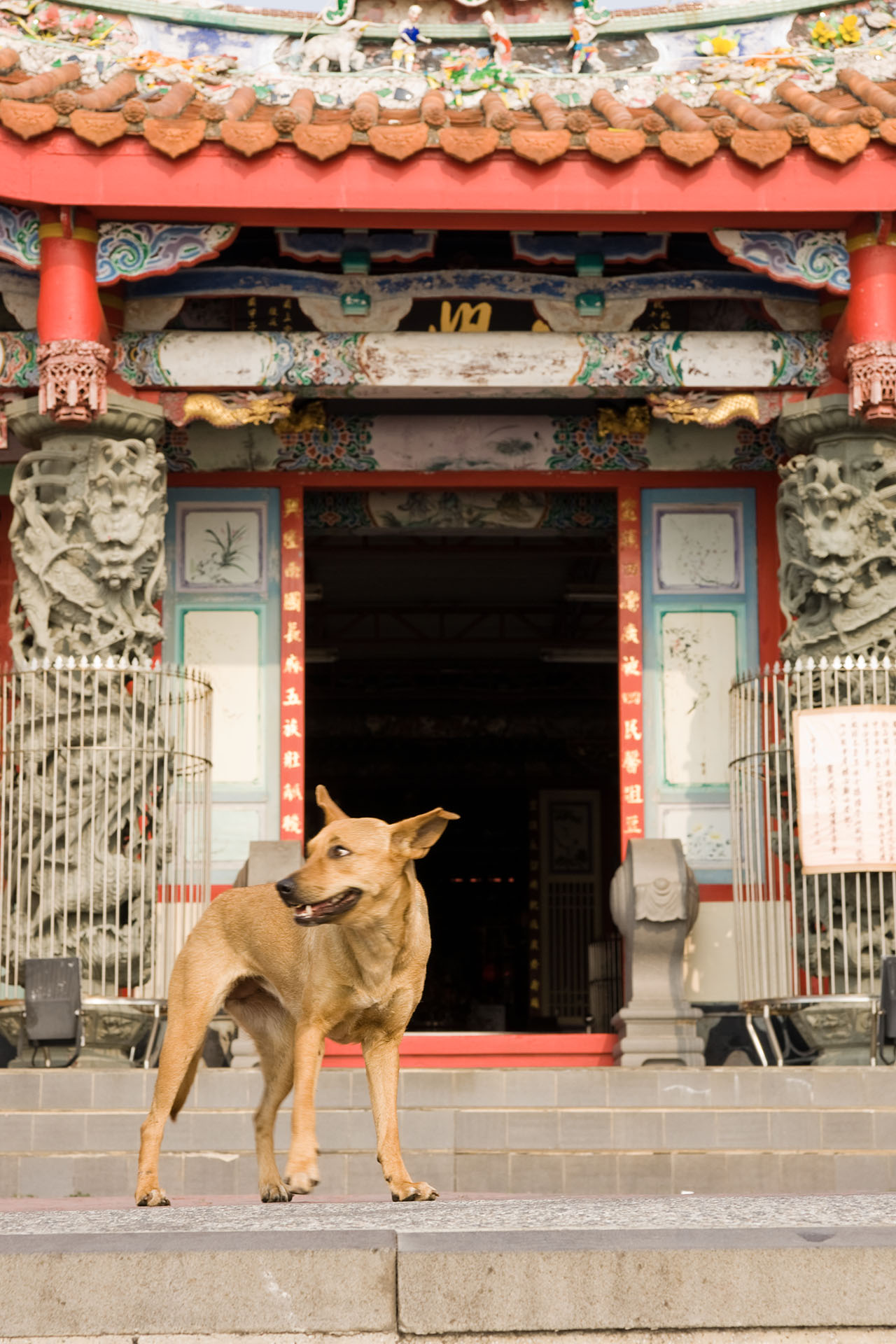 打狗英國領事館 - 2008
