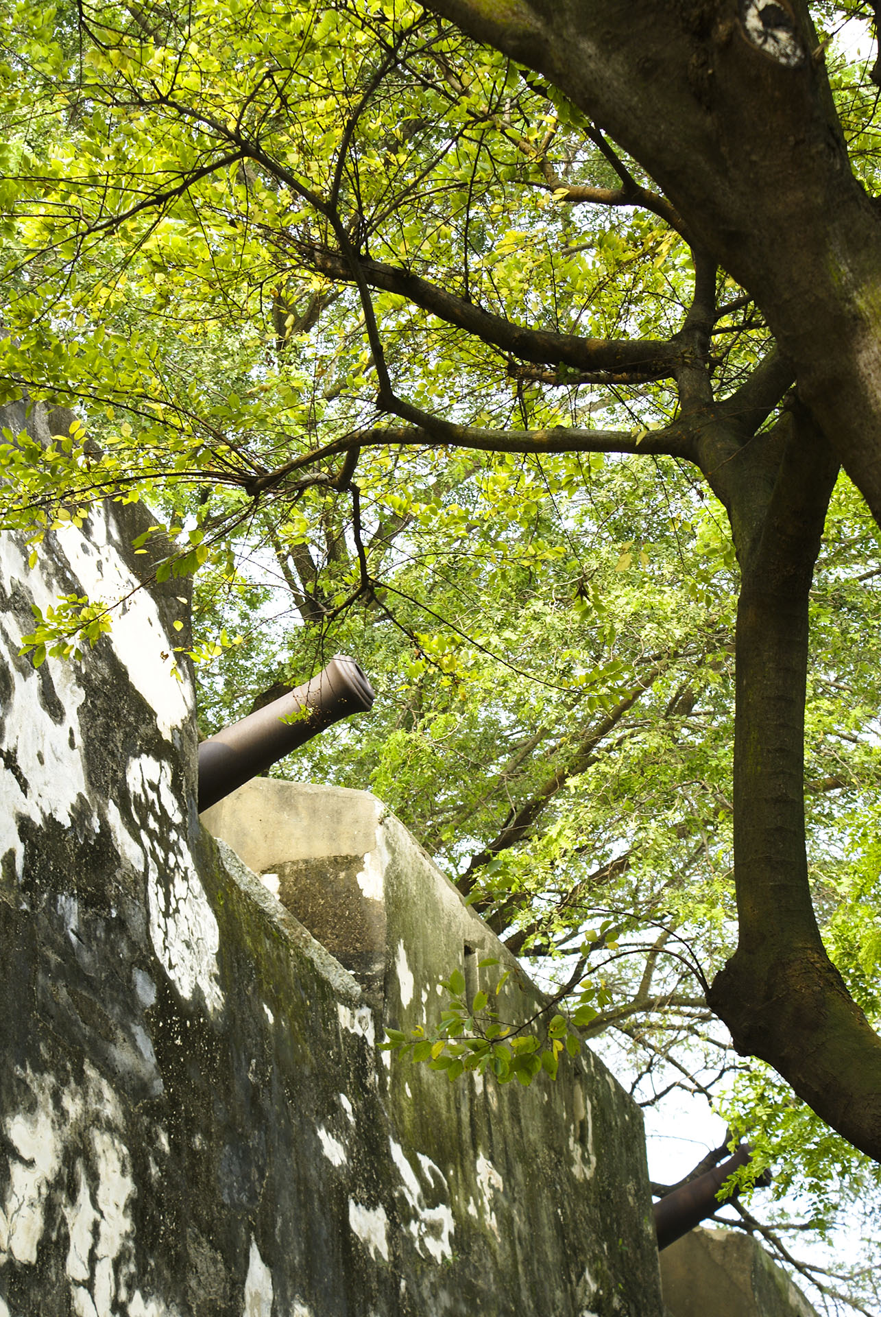 大炮台 Mount Fortress (2006)