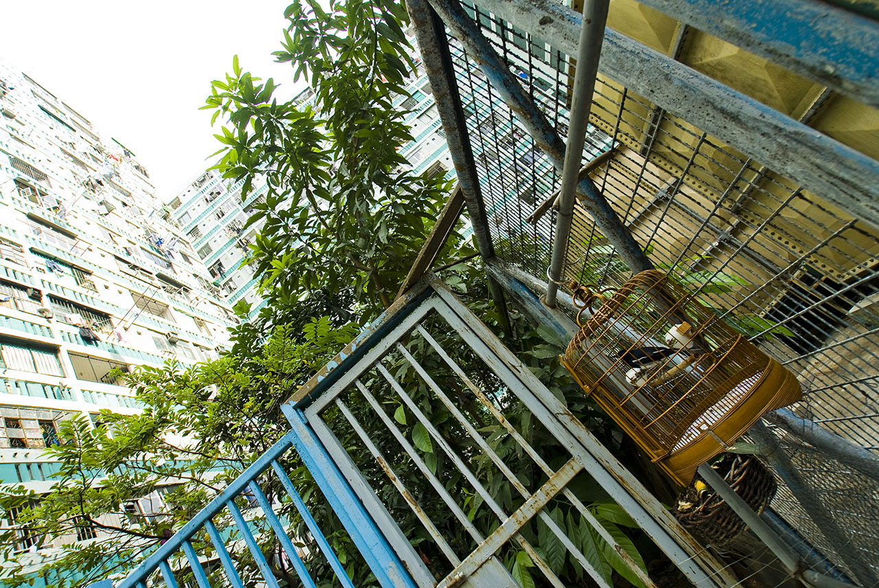 Lower Ngau Tau Kok Estate (2007)