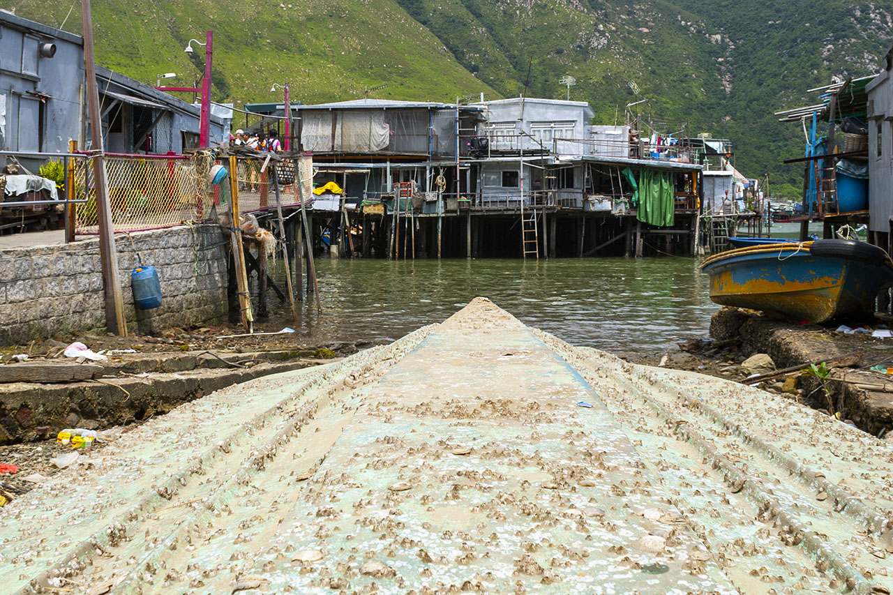 Tai O (2006)