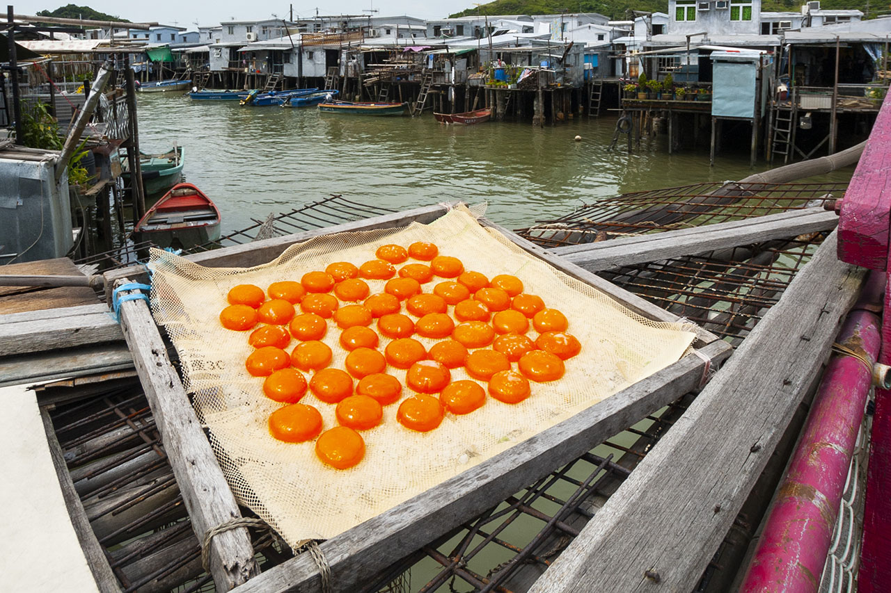 Tai O (2006)