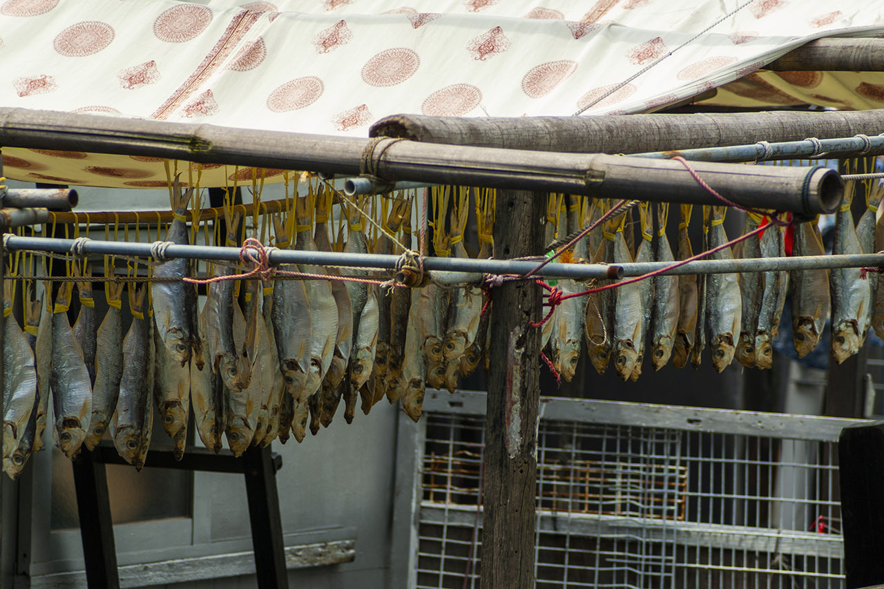 Tai O (2006)