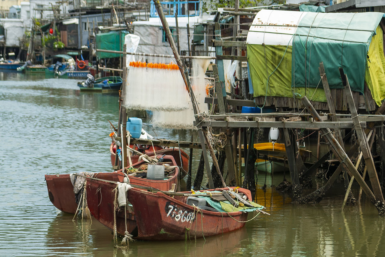 Tai O (2006)