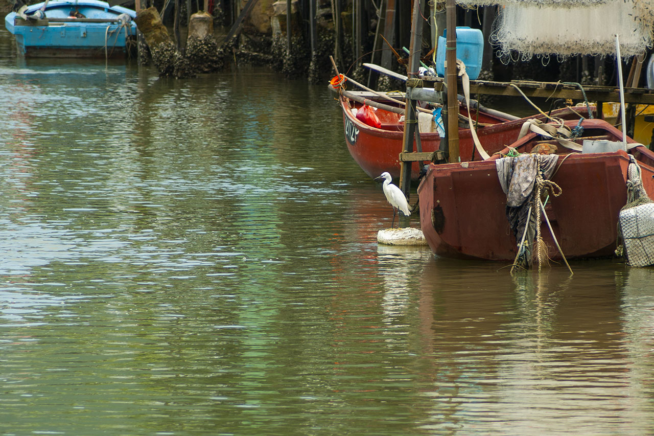 Tai O (2006)