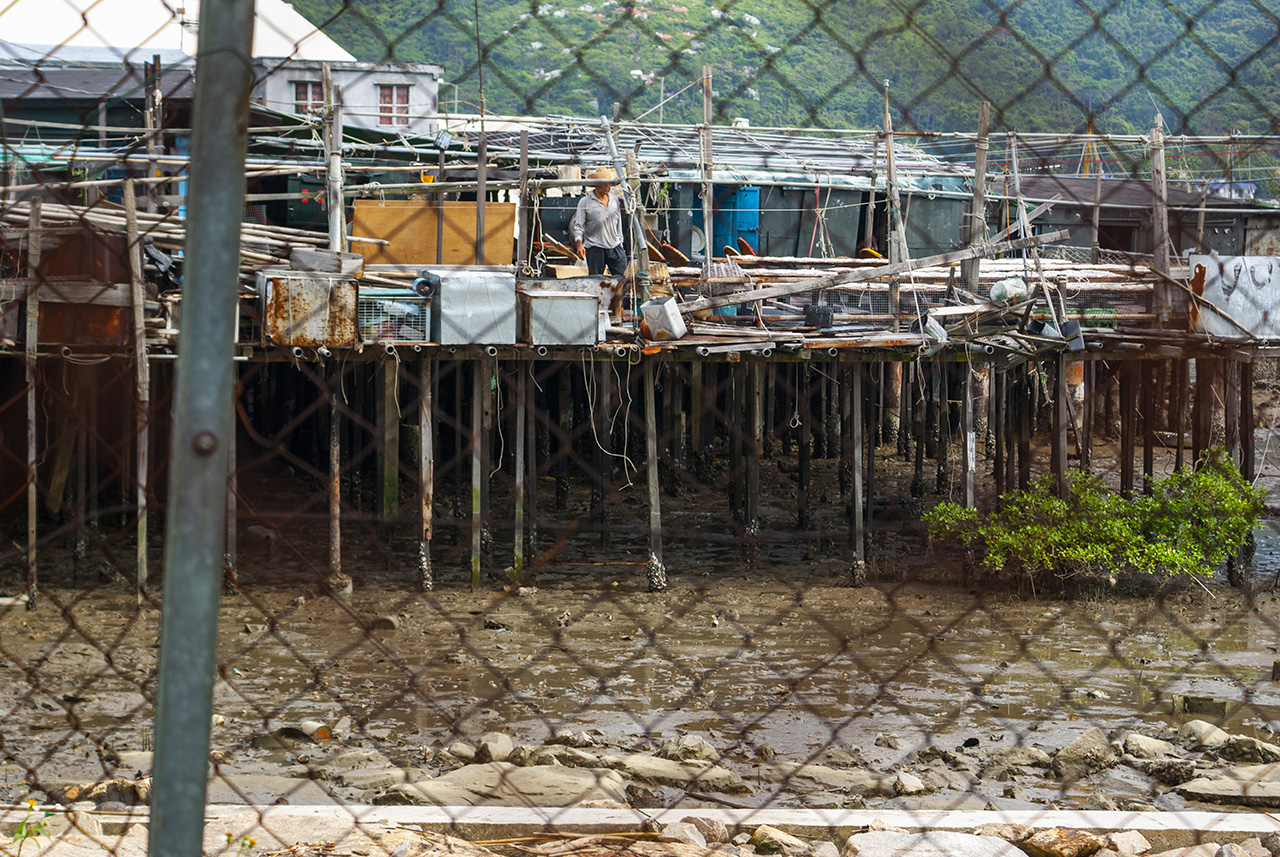 Tai O (2006)