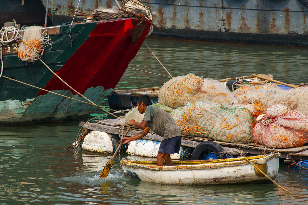 Tai O (2007)