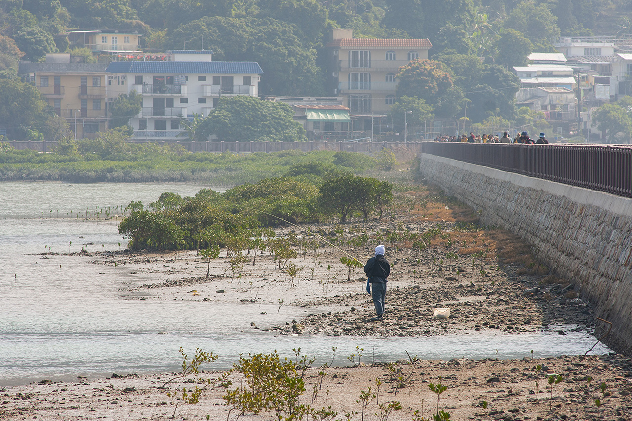 Tai O (2008)